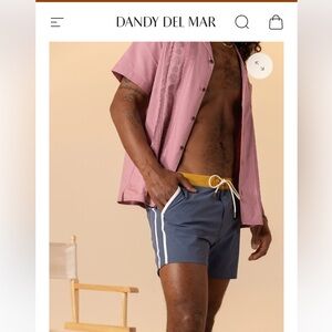 NWOT Dandy Del Mar Men's SZ 32 Swim Trunks Moontide